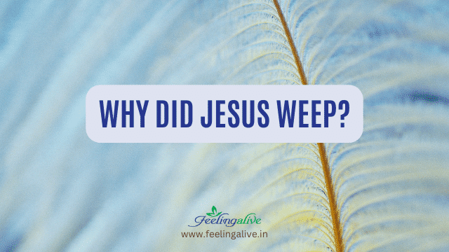 Understanding the Bible verse John 11:35: Why Jesus Wept?